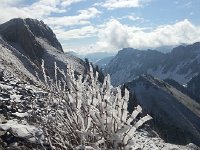 Rochers de Naye 17 April